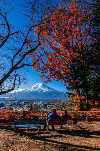 Mount Fuji and red maple tree with sweet couple at