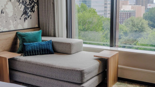 ハリウッドツイン