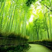 ホテル ステーション京都（京都府 ビジネスホテル） / 4