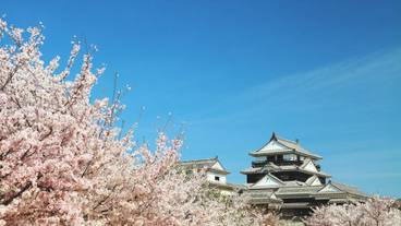 観光スポット / 4