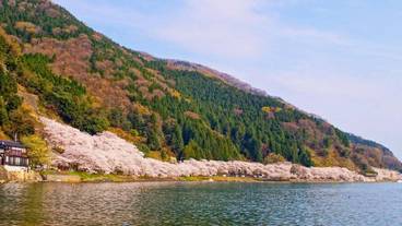 ランド ビュー / 37