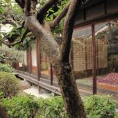 ゲストハウス 奈良バックパッカーズ（奈良県 ゲストハウス・ホステル・ドミトリー） / 3