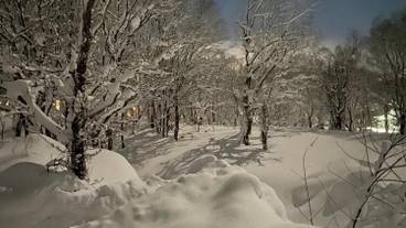 スノー スポーツとスキー / 13