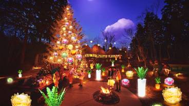 アグリクリスマス / 3