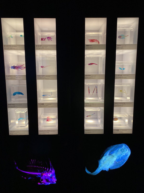 riochi_odekakeさんの写真 / 4