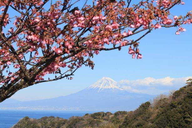 ricottacasaさんの写真 / 1