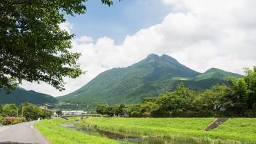 マウンテン ビュー / 31