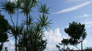 部屋からの景観 / 4