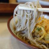 そばの神田 東一屋 名掛丁店（ソバノカンダトウイチヤ）