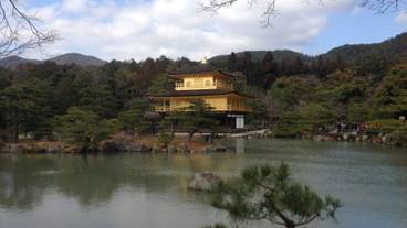 観光スポット / 7