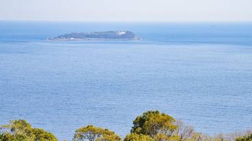 ビーチ / オーシャン ビュー / 3