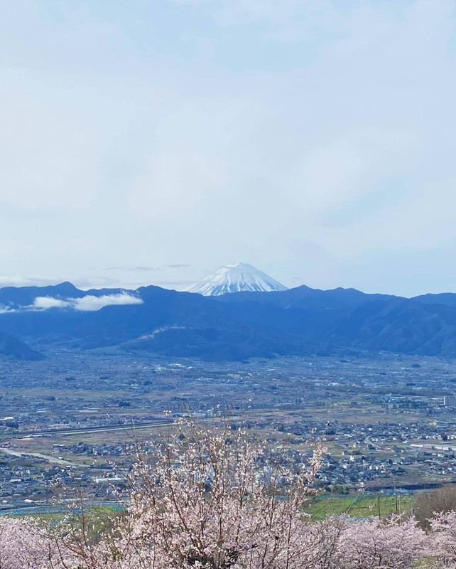 yrk_travelさんの写真 / 1