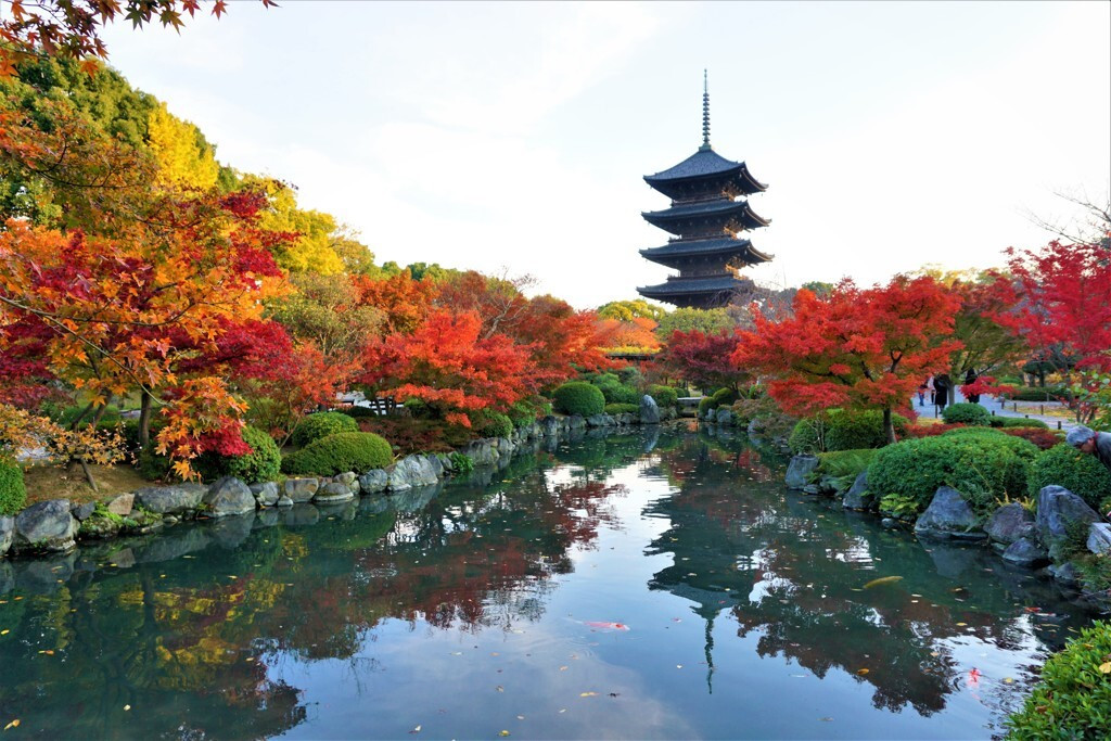 東寺（教王護国寺）2820112