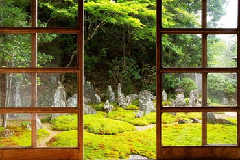 名庭を眺め心安らかな一日を3720883