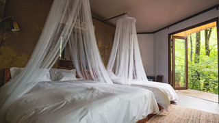 グランピング　ヒューメ 禁煙