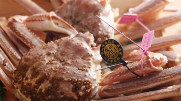 レストラン / 17