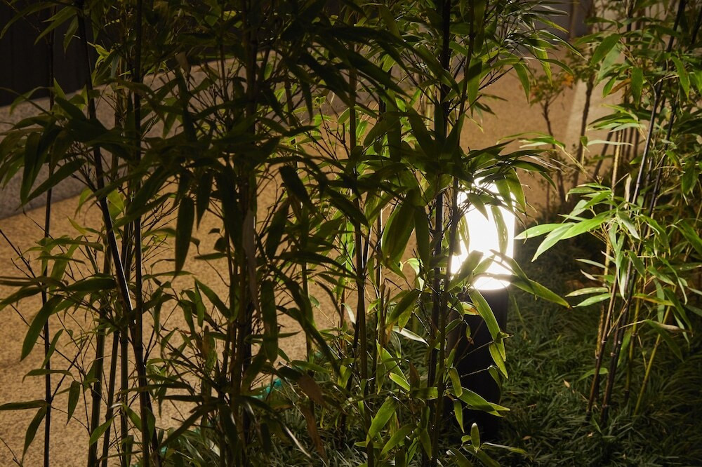 施設の正面 (日没後)