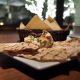 CICADA（シカダ）