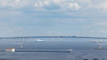 ビーチ / オーシャン ビュー / 13