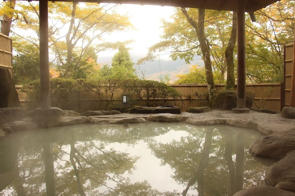 混じりっけのない白濁の湯が肌に心地よい4262139