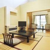 源泉掛流しの湯めぐりテーマパーク 龍洞(群馬県 旅館) / 3