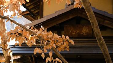 子供用の遊び場 - 屋外 / 6