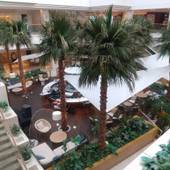 フェニックス・シーガイア・オーシャン・タワー（宮崎県 リゾートホテル） / 3