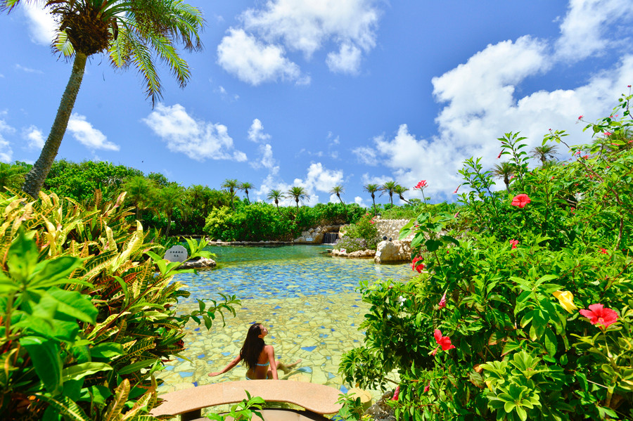 全室スイートルームの南国の楽園3500162