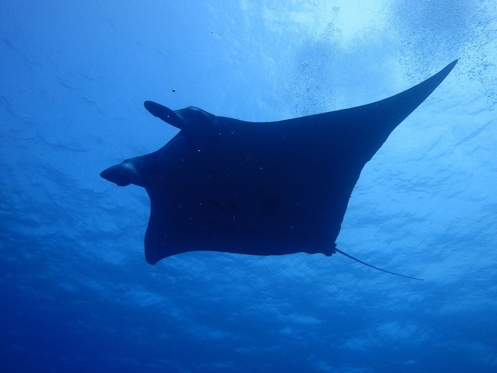 フィットネス設備