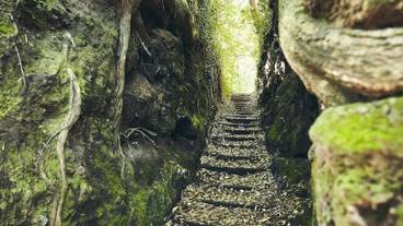 施設からの眺望 / 20