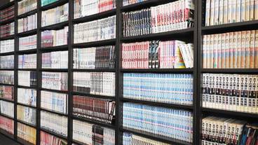 リビング エリア / 13