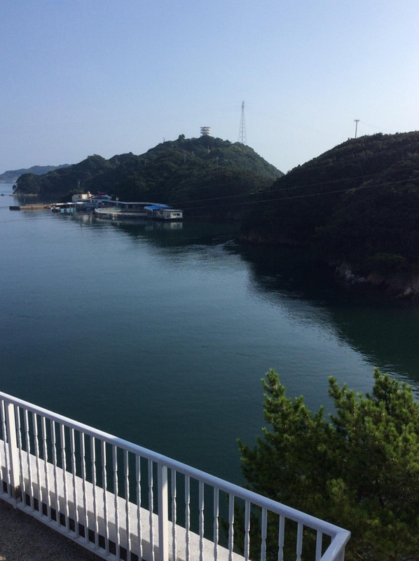 ホテルから見たイルカ島