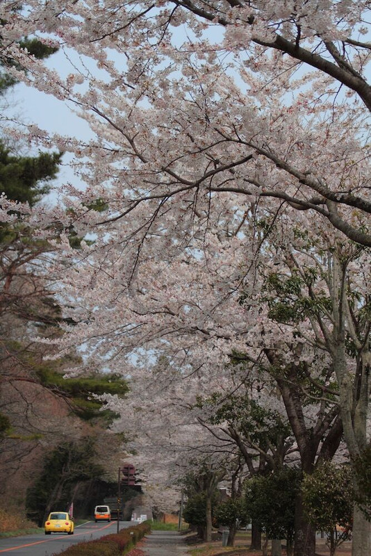 施設からの眺望