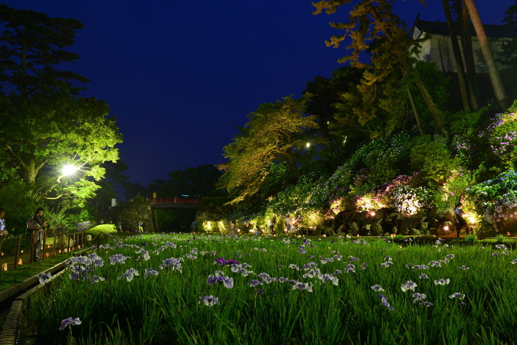 城址公園2036544