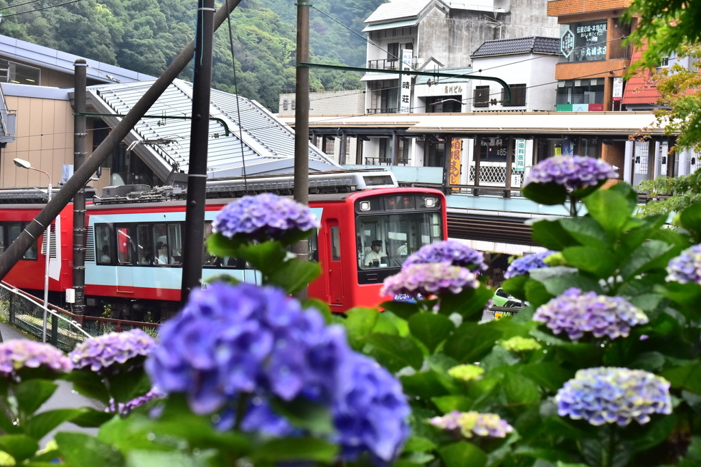 彼ともっと仲良くなれる♡箱根湯本でグルメ旅4255120