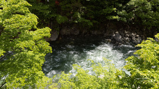 みずのね ツインルーム, 29平米