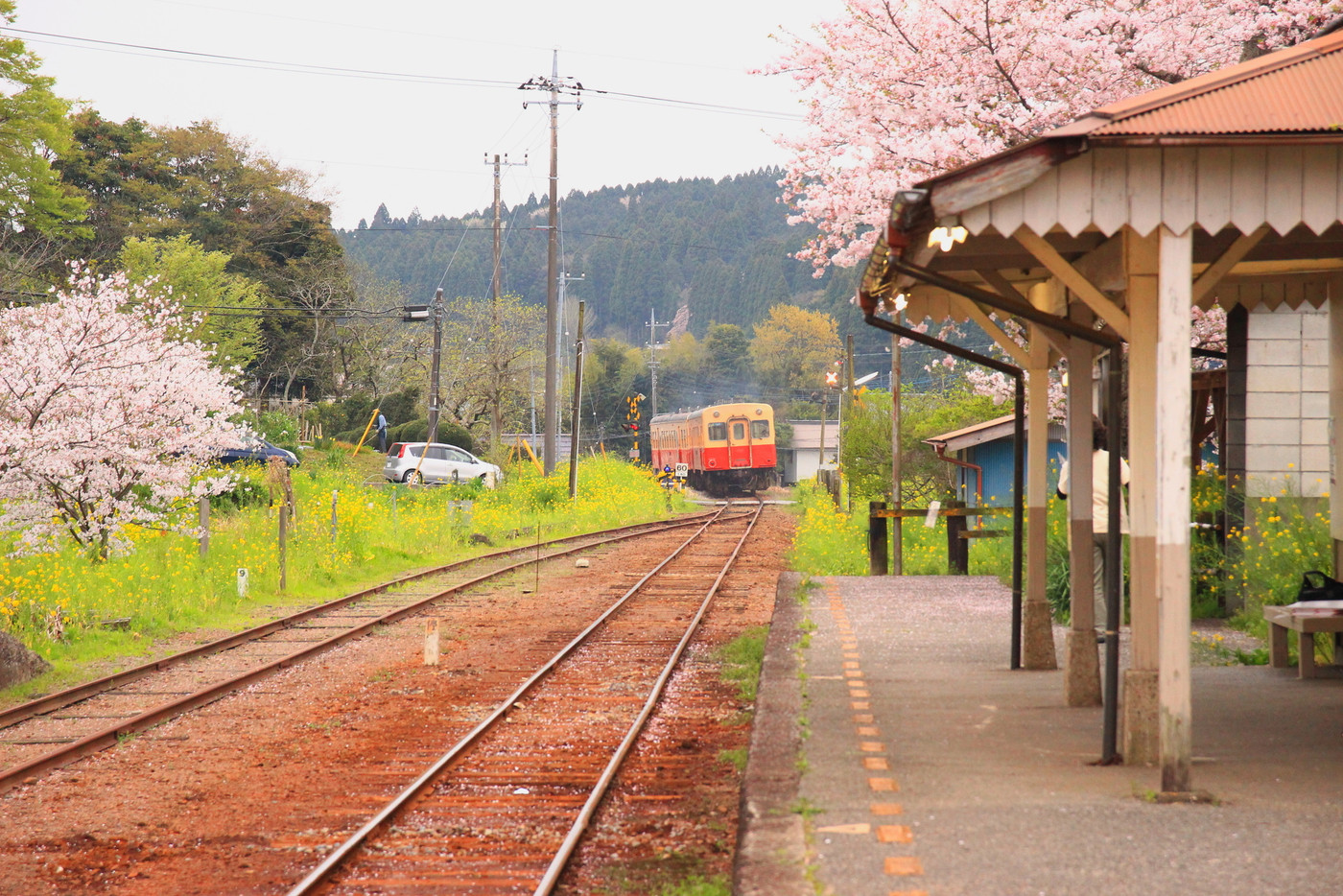 小湊鉄道の春の風景
