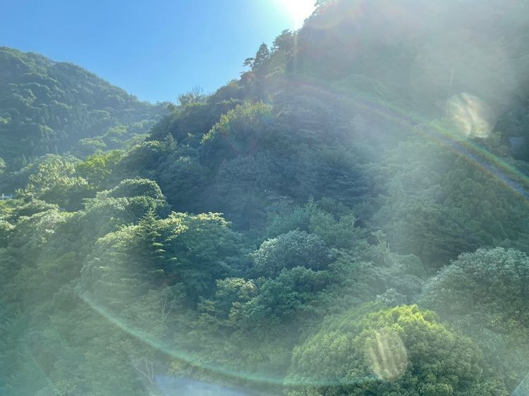 mami__k2さんの写真 / 1