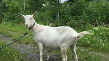 施設の敷地 / 12