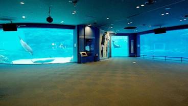 観光スポット / 10