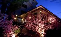 甲州料理とワインの宿 千年湯 岩下温泉旅館（イワシタオンセンリョカン）