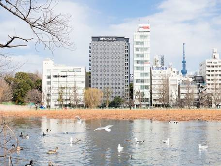 アパホテル 京成上野駅前 / 5