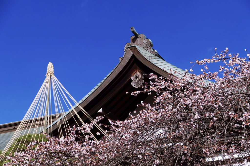 9.志波彦神社・鹽竈神社1559296