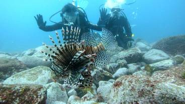 フィットネス設備 / 2