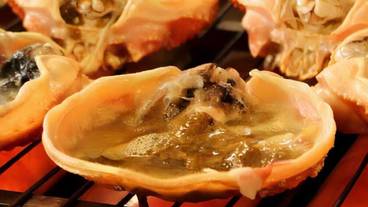 レストラン / 14