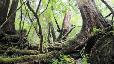 ランド ビュー / 12