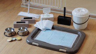 ペットルーム スタンダードツイン (禁煙)