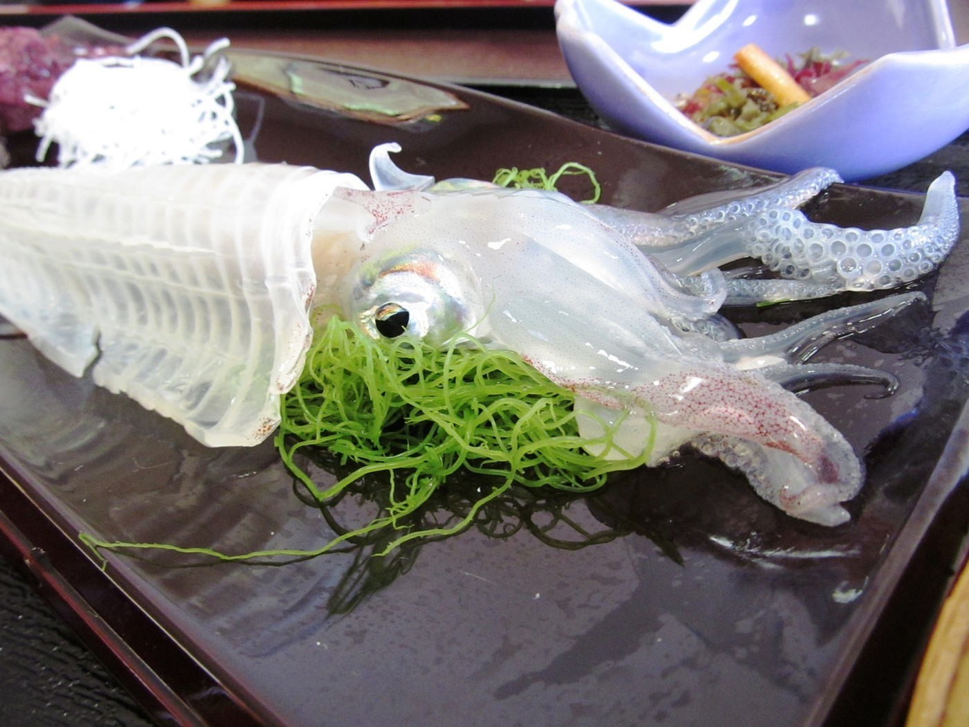 「お魚処 玄海」料理 637447 活きいか（下部）のアップ