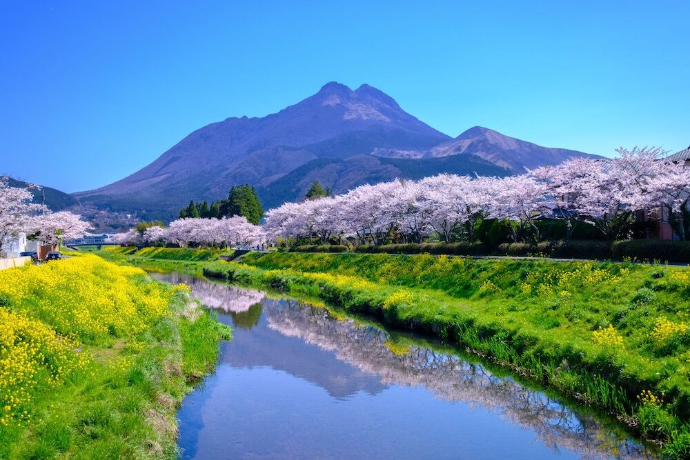 施設からの眺望