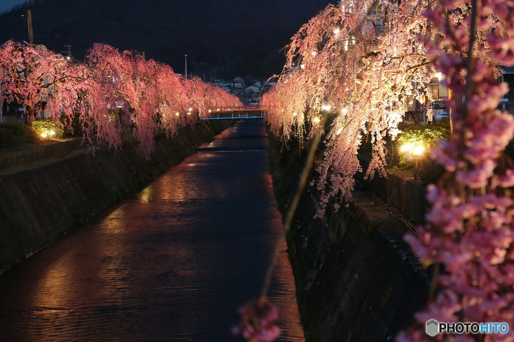 いで湯と将棋の駒の地4026192